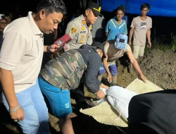 Pria di Bekasi Tewas Tersambar Petir Saat Terjebak Hujan di Tengah Sawah